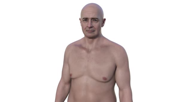 Animation photoréaliste en 3D mettant en valeur la moitié supérieure d'un homme d'âge moyen, révélant les détails complexes de son anatomie de la peau, du visage et du corps. - Séquence, vidéo