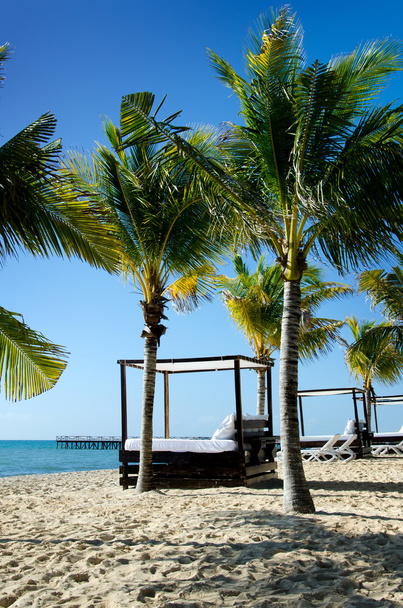 pláž cabana postel a palm stromy - Fotografie, Obrázek