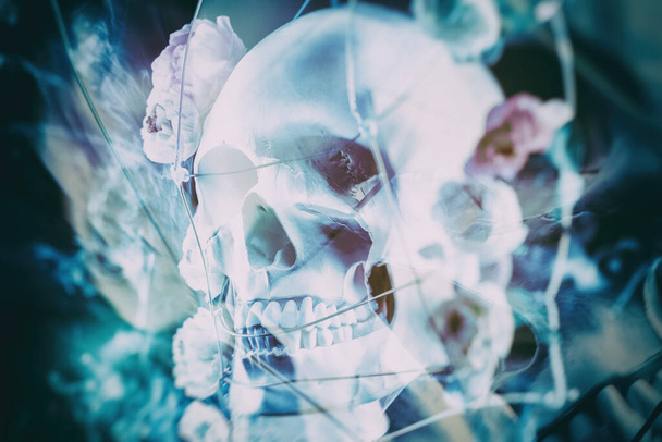 Abstract photo of a human skull with a grid with roses. - Photo, Image
