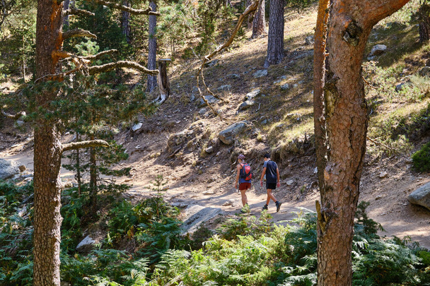 Un momento íntimo entre una madre y su hijo mientras caminan por un sendero arbolado en el bosque, disfrutando de la compañía de los demás y de la paz que ofrece la naturaleza.. - Foto, imagen