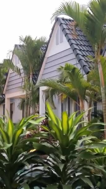 Palmen wiegen sich in der Nähe einer modernen Wohnanlage. Hochwertiges 4k Filmmaterial - Filmmaterial, Video