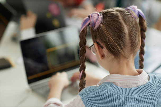 Pohled zezadu na školačku s roztomilými copánky pomocí notebooku v počítačové programovací třídě pro děti, kopírovat prostor - Fotografie, Obrázek