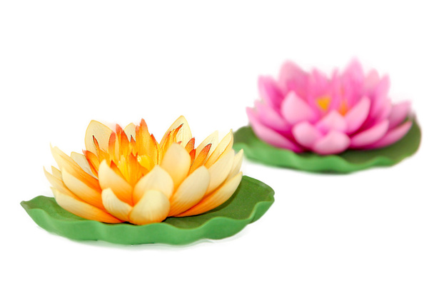 Lotus artificiel
 - Photo, image