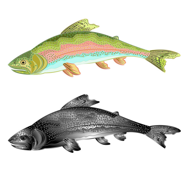 Trucha americana (Oncorhynchus mykiss) salta salmón-depredador peces naturales y como metal forjado vintage vector ilustración editable mano dibujar - Vector, Imagen