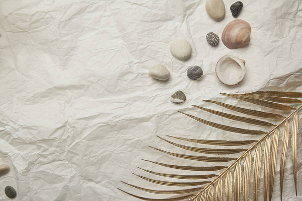 Colección de conchas marinas y piedras sobre un fondo de papel arrugado. Copiar espacio. - Foto, imagen