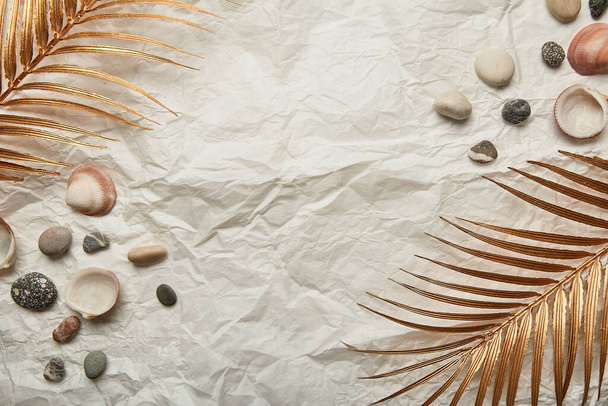 # Altın palmiye yaprağı, çakıl taşları ve deniz kabukları # - Fotoğraf, Görsel