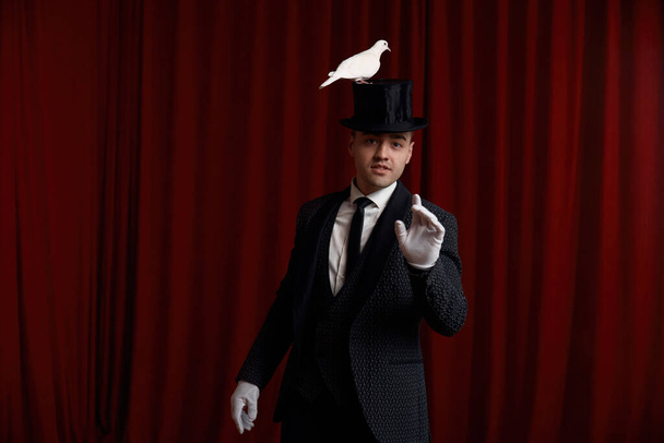 Man magician performing trick with beautiful white dove bird showcasing his magic skills standing over red curtain of dramatic theater stage - Photo, Image