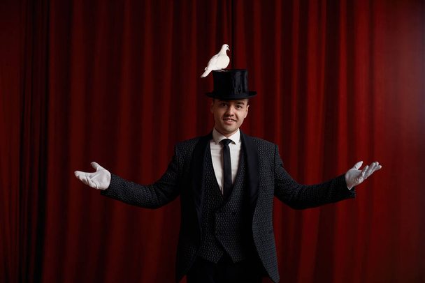 Hombre mago realizar truco con hermoso pájaro paloma blanca mostrando sus habilidades mágicas de pie sobre la cortina roja de teatro dramático escenario - Foto, Imagen