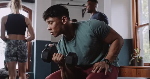 Multiethnic athlete performs dumbbell curls in fitness studio . High quality 4k footage - Footage, Video