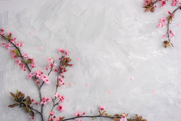 Printemps plat posé avec des fleurs de cerisier et des pétales sur fond de béton gris. Vue du dessus, espace de copie. - Photo, image