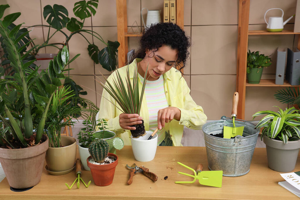 Genç Afro-Amerikalı kadın evde bitki nakli yapıyor. - Fotoğraf, Görsel