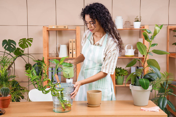 Jardinero afroamericano femenino con regadera y plantas en taller - Foto, imagen