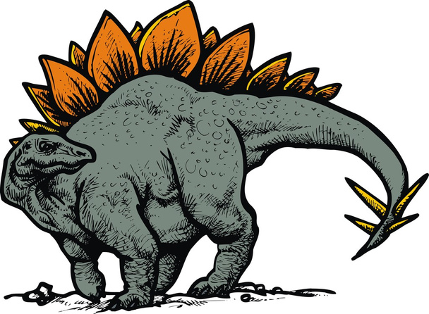 Dinosaurio Stegosaurus
 - Vector, imagen