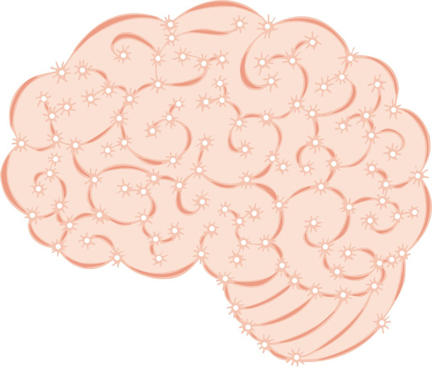 人間の脳  - ベクター画像