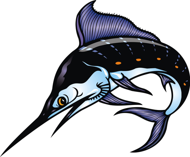 Риба Марлін
 - Вектор, зображення