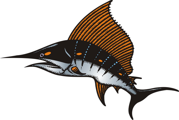 Marlin hal - Vektor, kép
