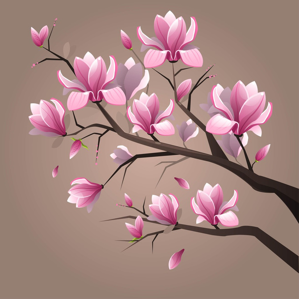 magnolia ροζ λουλούδια - Διάνυσμα, εικόνα