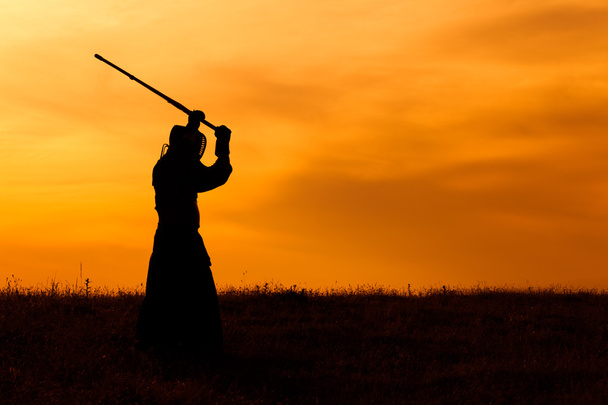 Kendo avcı - Fotoğraf, Görsel