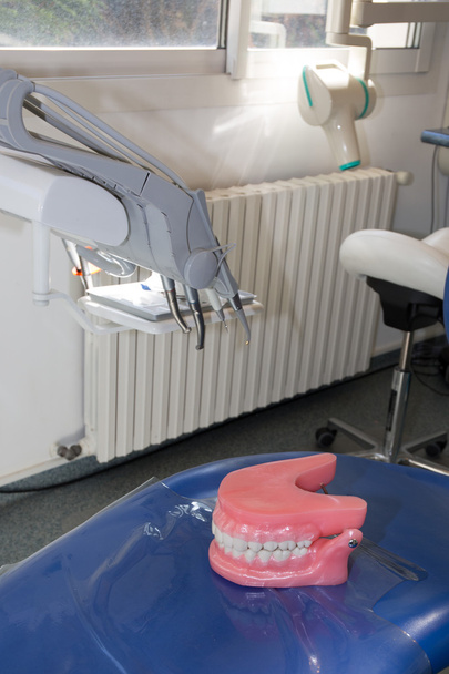 mandíbulas dentadura médica sorriso
 - Foto, Imagem
