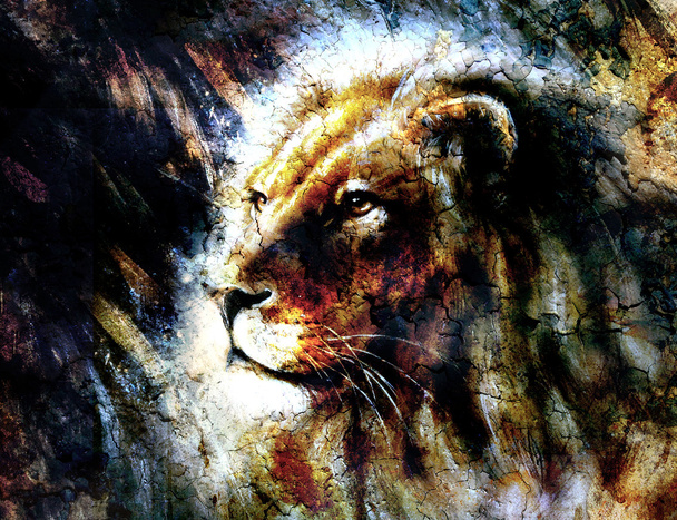 Bela pintura de uma cabeça de leão com uma expressão majestosamente pacífica, retrato de perfil
. - Foto, Imagem