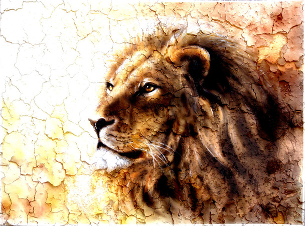 hermosa pintura de una cabeza de león con una majestuosa expresión pacífica patrón del desierto
. - Foto, Imagen