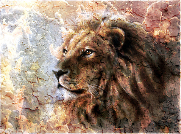 piękny obraz głowy lwa z majesticaly pokojowego wyrażania pustyni wzór. - Zdjęcie, obraz