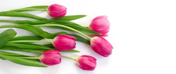 Buquê de flores de tulipa rosa no fundo branco. Deitado plano, vista superior. Espaço de cópia - Foto, Imagem