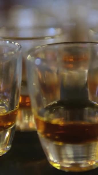 Bella porzione di bevande alcoliche Cantina Bicchieri di degustazione di vino e antipasti - Filmati, video