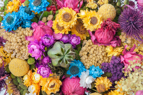 Fondo hecho de flores secas
 - Foto, imagen