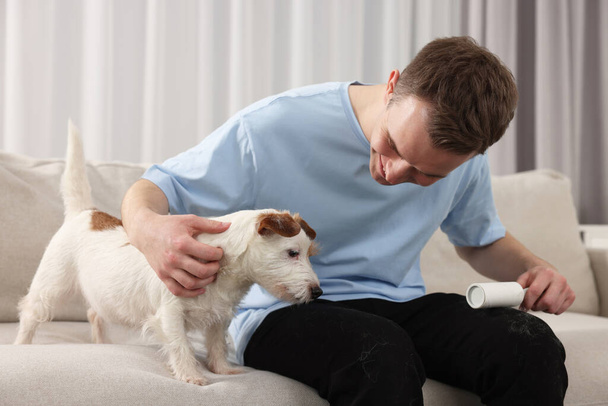 Zwierzaki. Mężczyzna z wałkiem do kłaczków usuwającym sierść psa ze spodni na kanapie w domu - Zdjęcie, obraz