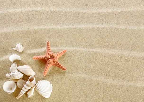 Песчаный пляж
 - Фото, изображение