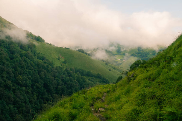 sendero en las montañas de los Pirineos, España. Foto de alta calidad - Foto, imagen