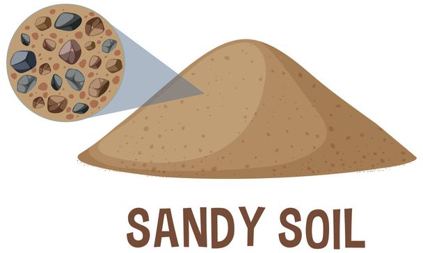Detailed vector of sandy soil and its components - Vector, Image