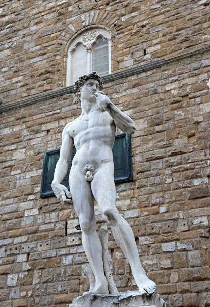 Statue of David from Michelangelo in Florence, Italy - Foto, immagini