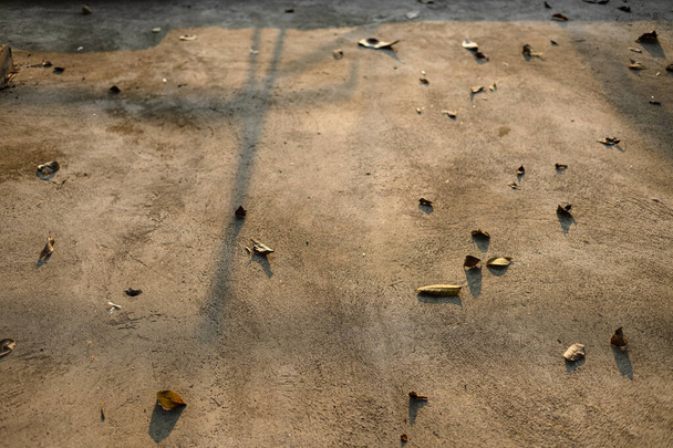 Dry brown leaves on grey concrete floor. Backgrounds The dry leaves on the cement floor. - Photo, Image
