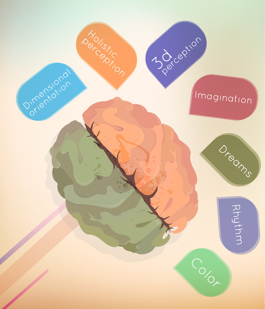 The brain - Vector, Image
