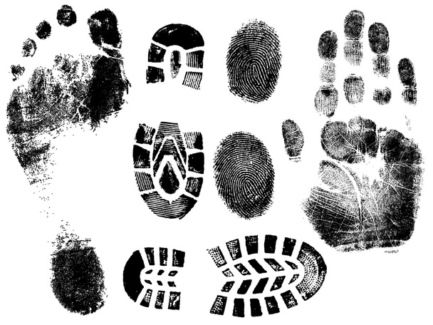 dedos e pés
 - Vetor, Imagem