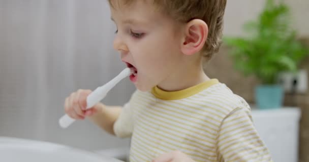 Banyoda diş fırçasıyla diş fırçalayan küçük bir çocuk. Günlük rutin ve diş temizliği konsepti. Sağlık sigortası, eğitim materyali, ebeveynlik blogu için tasarım. Yüksek kalite 4k görüntü - Video, Çekim