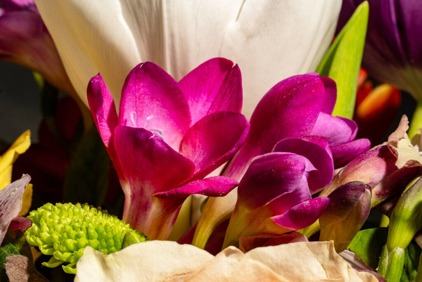 hermoso ramo de tulipanes - Foto, Imagen