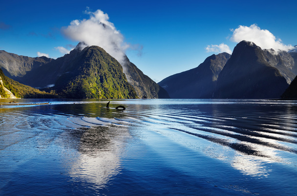 ニュージーランドのミルフォード・サウンド - 写真・画像