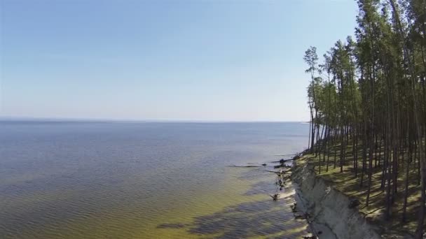 木が付いている湖の砂浜海岸。空中ショット - 映像、動画