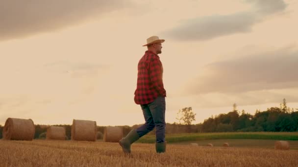 Adult male in rubber boots, man worker walk through rural field tending to organic crop between round hay bales. Legs in rubber boots workers clothing straw hat plaid shirt - Footage, Video