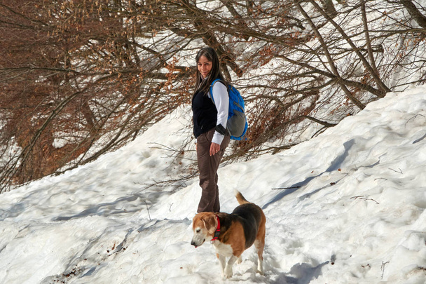  Леди с собакой Бигл во время похода по снегу в горах - Фото, изображение
