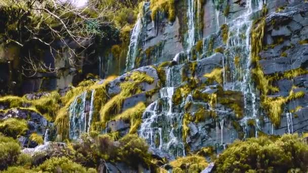 Een natuurlijke waterval stroomt tussen rotsen en vegetatie. - Video