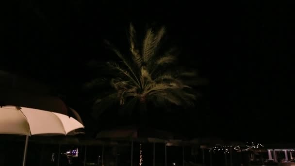 Schöne nächtliche Aussicht auf beleuchtete Palmen in der Nähe des hoteleigenen Außenpools mit Bar. Curaçao. - Filmmaterial, Video