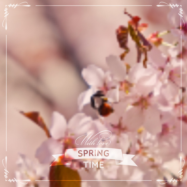 背景をぼかした写真 - 桜の花をベクトルします。 - ベクター画像