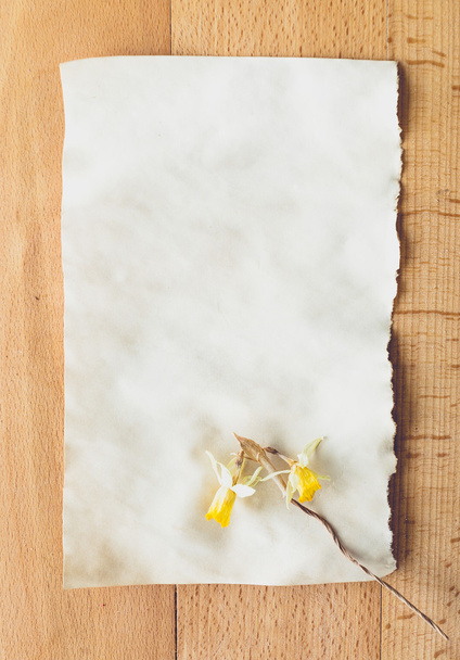 stary pustej kartce papieru z suszonych kwiatów leżącego na drewniane biurko - Zdjęcie, obraz