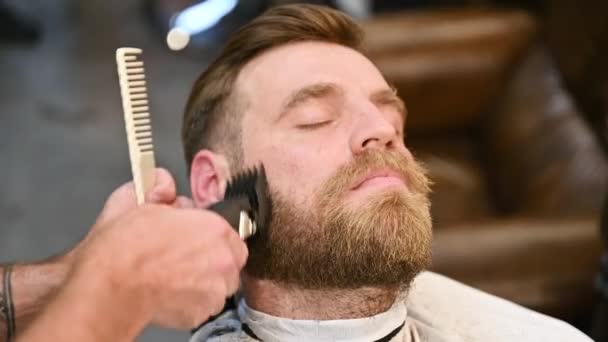 Jóképű vásárló leborotválja a szakállát. Tapasztalt borbély közeli felvétele fésűvel és villanyborotvával, hogy levágja a szakállat. Férfi ügyfél a fodrászatban. - Felvétel, videó