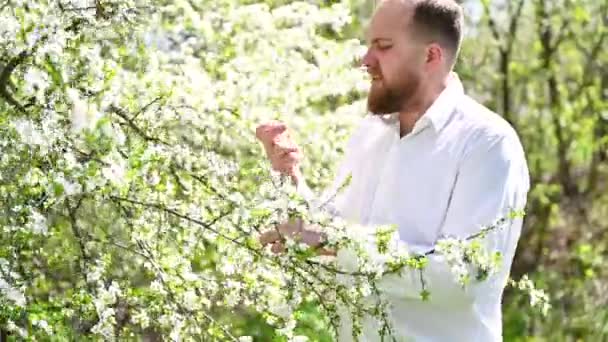 Man allergic using medical nasal drops, suffering from seasonal allergy at spring in blossoming garden. Handsome man treating runny nose in front of blooming tree outdoors. Spring allergy concept. - Footage, Video