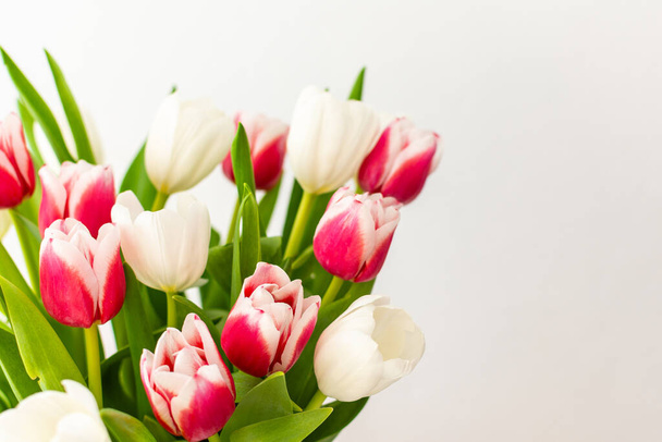 ピンクと白のチューリップの美しい春の花束は,誕生日または3月8日または母の日のコンセプトを閉じます - 写真・画像